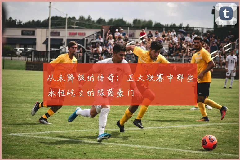 从未降级的传奇:五大联赛中那些永恒屹立的绿茵豪门