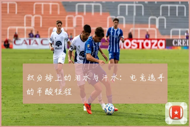 积分榜上的泪水与汗水：电竞选手的辛酸征程