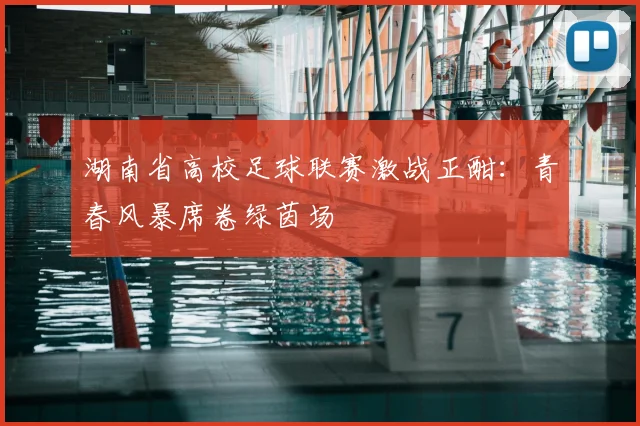 湖南省高校足球联赛激战正酣：青春风暴席卷绿茵场
